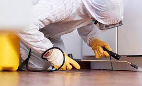 Professional Pest control in Cambridge City, IN